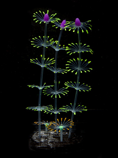 Silicone Glow Fish Tank Decorations Plants with Simulation Silicone Coral Artificial Horn Coral Aquarium Ornaments Luminous New