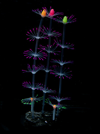 Silicone Glow Fish Tank Decorations Plants with Simulation Silicone Coral Artificial Horn Coral Aquarium Ornaments Luminous New