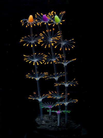 Silicone Glow Fish Tank Decorations Plants with Simulation Silicone Coral Artificial Horn Coral Aquarium Ornaments Luminous New