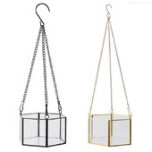 Modernus kabantis stiklinis terariumas, geometrinis šešiakampio formos sultingų oro augalų laikiklis, sieninis vazonas gėlių vazonas F0T4