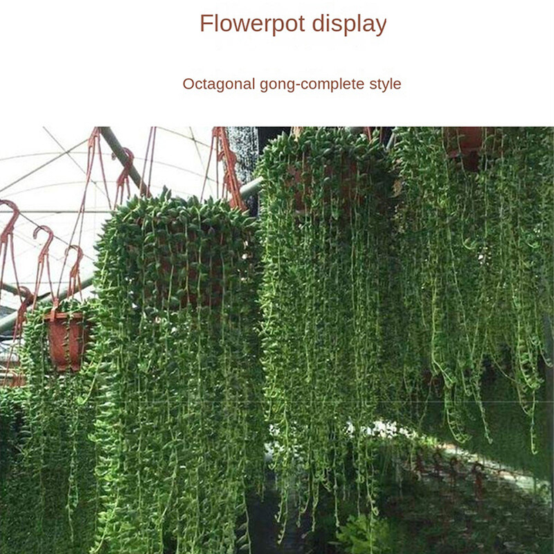 Plastikinis aštuonkampis pakabinamas vazono krepšelis Gėlių vazonų pakabos laikiklio sienelės apdaila kiemo sodo balkonų sodintuvams