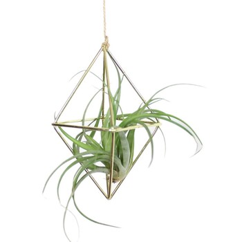 1 τμχ Κρεμαστά φυτά Ράφι Tillandsia Iron Retro Flower Planter Γλάστρα Ράφι τεσσάρων πλευρών Diamond Geometry