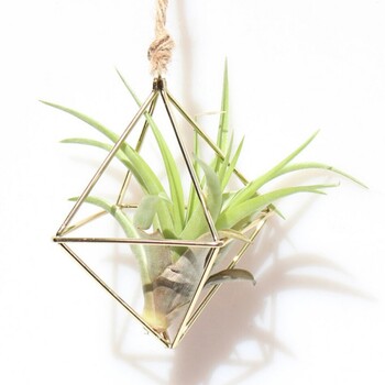 1 τμχ Κρεμαστά φυτά Ράφι Tillandsia Iron Retro Flower Planter Γλάστρα Ράφι τεσσάρων πλευρών Diamond Geometry