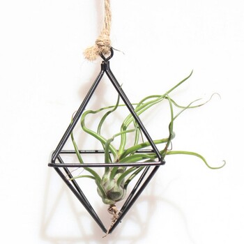 1 τμχ Κρεμαστά φυτά Ράφι Tillandsia Iron Retro Flower Planter Γλάστρα Ράφι τεσσάρων πλευρών Diamond Geometry