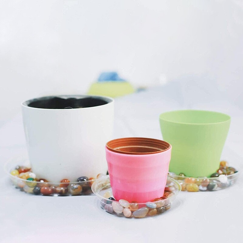 6/8/10/12 inča Plastični tanjurići za biljke Prozirni tanjurići za biljke Prozirni tanjurići za cvijeće Vrt za njegu sobnih biljaka Set prozirnih posuda za kapanje