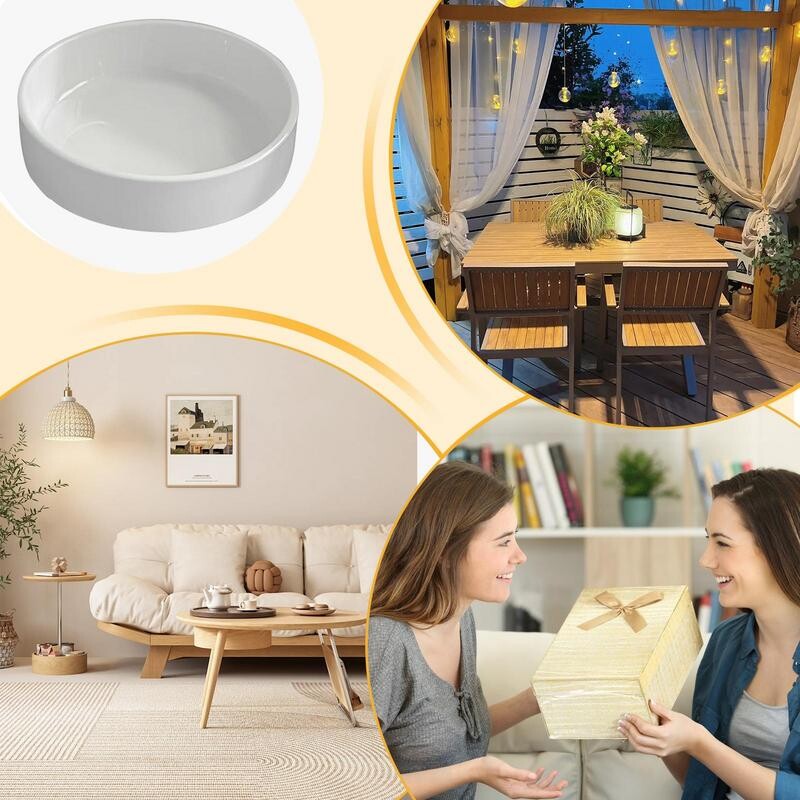 Brazilski drveni tanjuri Lucky Wood Hidroponski panj Stolne biljke Hidroponski pladanj za biljke Uredski pladanj za biljke Bijela keramika