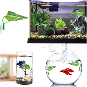 Betta Fish Rest Aquarium Leaf Plants Διακόσμηση ωοτοκίας Διακοσμητικό φυτό Betta Fish Play Hide Leaf Hammock