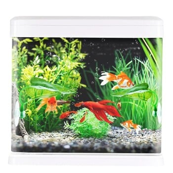 Betta Fish Rest Aquarium Leaf Plants Διακόσμηση ωοτοκίας Διακοσμητικό φυτό Betta Fish Play Hide Leaf Hammock