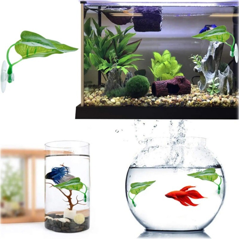Pește Betta Odihnă Acvariu Plante cu frunze Decorație Planta ornamentală de reproducere Betta Pește Joaca Ascunde Frunze Hamac