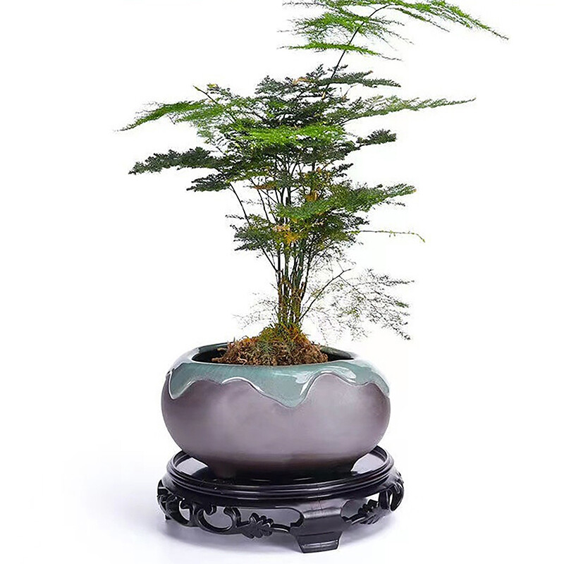 Naujas standus PP plastikinis vandens padėklo dugnas, sultingas gėlių vazono dėklo sėdynė sustorintas juodas plastikinis pakeltas gėlių padėklo stendas