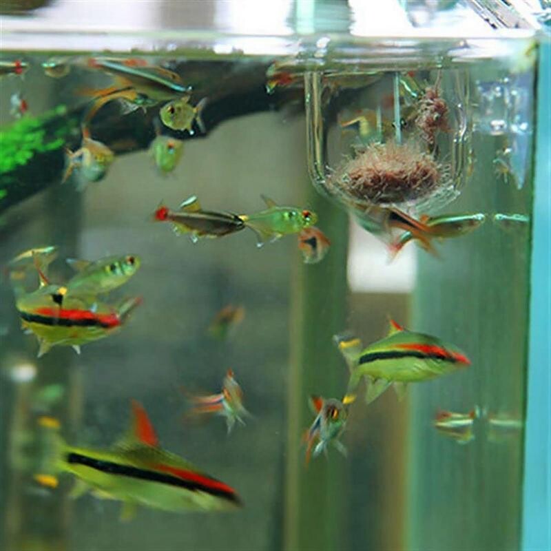 Akvariumo dekoravimo augalų puodelis Akrilo vandens augalų puodelis su siurbimo laikikliu Sodinimo cilindro puodelis Akvariumo dekoravimo įrankis