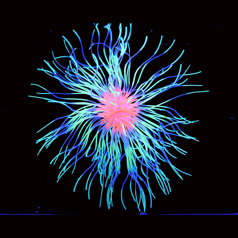 Umelá silikónová emulácia ohňostroja podvodný svet dekorácia ornament fluorescenčný efekt akvárium príslušenstvo pre akvárium