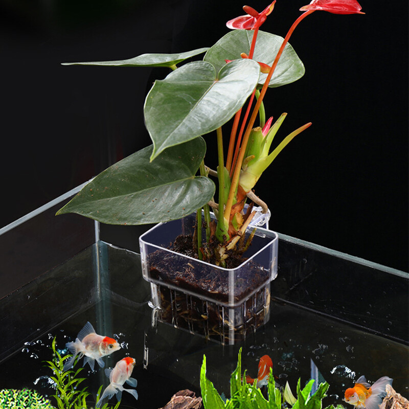 Držač vodenih biljaka za akvarij, viseće čaše za akvarijske posude, košara za biljke na zidu, plastični lonac za vodene biljke