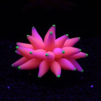 Fluorescent Bubble Coral Luminescence Effect Succulent Coral Fish Tank Aquarium Underwater World Plant διακοσμητικά αξεσουάρ