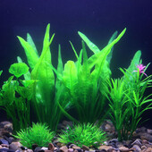 Veealune akvaarium Kunstlik veetaim Akvaarium Roheline Maailm Dekoratsioon Plastist taimed Muru umbrohud Ornament Kauss Dekoratiivne