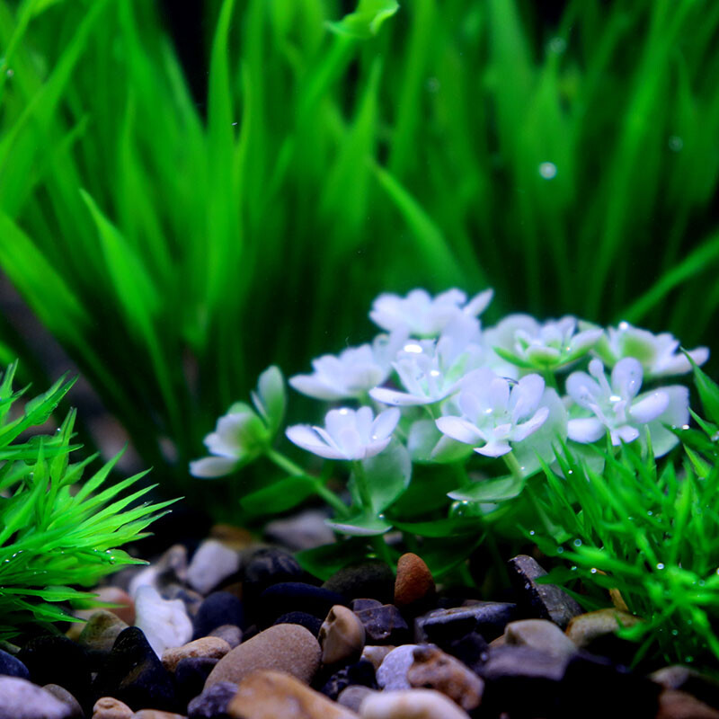 Veealune akvaarium Kunstlik veetaim Akvaarium Roheline Maailm Dekoratsioon Plastist taimed Muru umbrohud Ornament Kauss Dekoratiivne