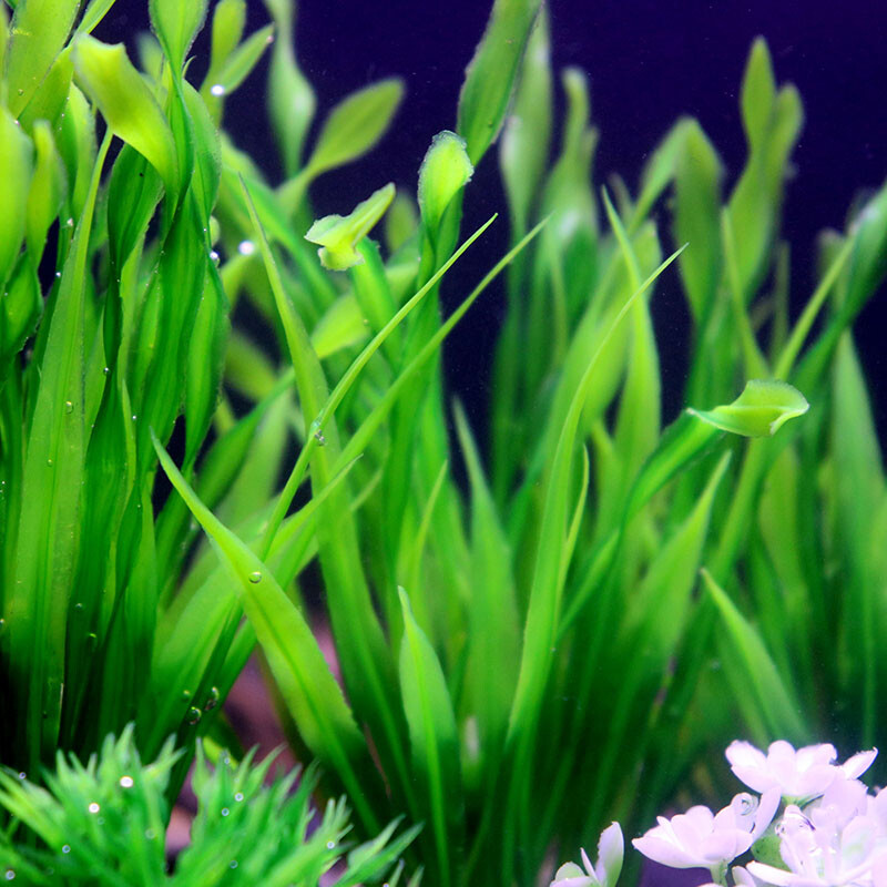 Veealune akvaarium Kunstlik veetaim Akvaarium Roheline Maailm Dekoratsioon Plastist taimed Muru umbrohud Ornament Kauss Dekoratiivne