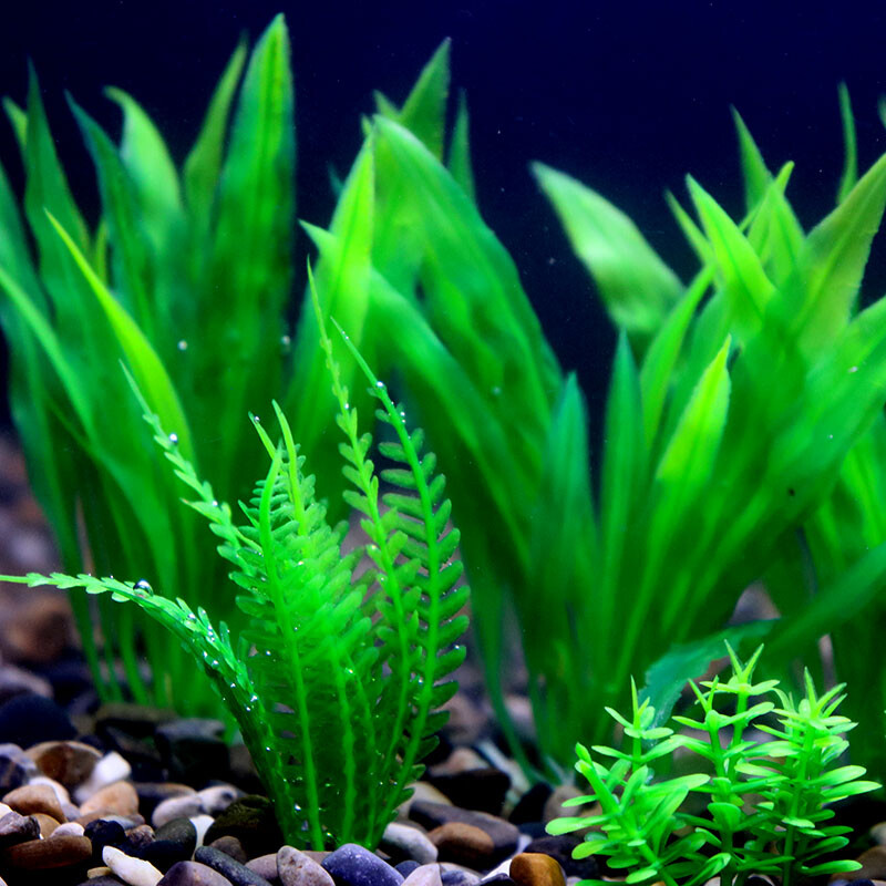 Veealune akvaarium Kunstlik veetaim Akvaarium Roheline Maailm Dekoratsioon Plastist taimed Muru umbrohud Ornament Kauss Dekoratiivne