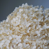 Πολύχρωμη Διακοσμητική Ορτανσία Διακοσμητικό Σπίτι Στολισμός Γάμου Μικρόφυλλο Anna Ορτανσία Εποξειδικό Χειροποίητο Υλικό DIY