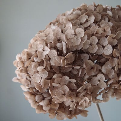 Πολύχρωμη Διακοσμητική Ορτανσία Διακοσμητικό Σπίτι Στολισμός Γάμου Μικρόφυλλο Anna Ορτανσία Εποξειδικό Χειροποίητο Υλικό DIY