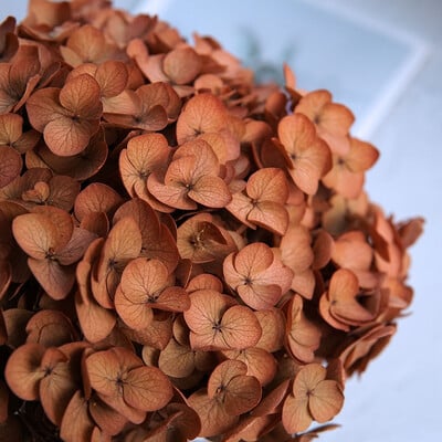 Πολύχρωμη Διακοσμητική Ορτανσία Διακοσμητικό Σπίτι Στολισμός Γάμου Μικρόφυλλο Anna Ορτανσία Εποξειδικό Χειροποίητο Υλικό DIY