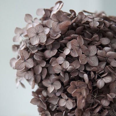 Πολύχρωμη Διακοσμητική Ορτανσία Διακοσμητικό Σπίτι Στολισμός Γάμου Μικρόφυλλο Anna Ορτανσία Εποξειδικό Χειροποίητο Υλικό DIY