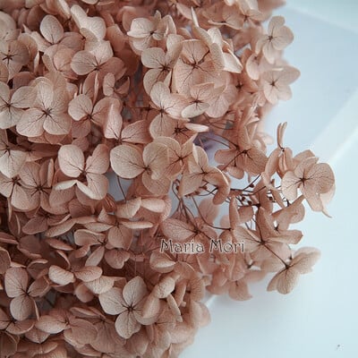 Πολύχρωμη Διακοσμητική Ορτανσία Διακοσμητικό Σπίτι Στολισμός Γάμου Μικρόφυλλο Anna Ορτανσία Εποξειδικό Χειροποίητο Υλικό DIY