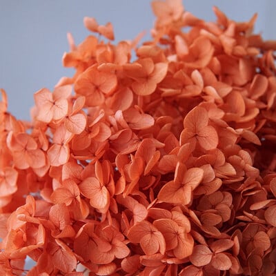 Πολύχρωμη Διακοσμητική Ορτανσία Διακοσμητικό Σπίτι Στολισμός Γάμου Μικρόφυλλο Anna Ορτανσία Εποξειδικό Χειροποίητο Υλικό DIY