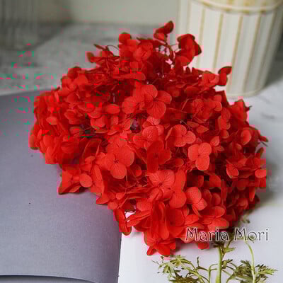 Πολύχρωμη Διακοσμητική Ορτανσία Διακοσμητικό Σπίτι Στολισμός Γάμου Μικρόφυλλο Anna Ορτανσία Εποξειδικό Χειροποίητο Υλικό DIY