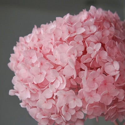 Πολύχρωμη Διακοσμητική Ορτανσία Διακοσμητικό Σπίτι Στολισμός Γάμου Μικρόφυλλο Anna Ορτανσία Εποξειδικό Χειροποίητο Υλικό DIY