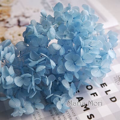 Πολύχρωμη Διακοσμητική Ορτανσία Διακοσμητικό Σπίτι Στολισμός Γάμου Μικρόφυλλο Anna Ορτανσία Εποξειδικό Χειροποίητο Υλικό DIY