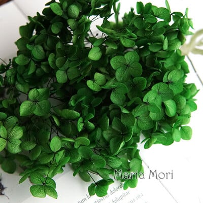 Πολύχρωμη Διακοσμητική Ορτανσία Διακοσμητικό Σπίτι Στολισμός Γάμου Μικρόφυλλο Anna Ορτανσία Εποξειδικό Χειροποίητο Υλικό DIY