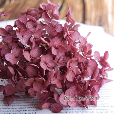 Πολύχρωμη Διακοσμητική Ορτανσία Διακοσμητικό Σπίτι Στολισμός Γάμου Μικρόφυλλο Anna Ορτανσία Εποξειδικό Χειροποίητο Υλικό DIY