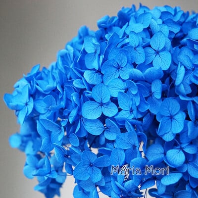 Πολύχρωμη Διακοσμητική Ορτανσία Διακοσμητικό Σπίτι Στολισμός Γάμου Μικρόφυλλο Anna Ορτανσία Εποξειδικό Χειροποίητο Υλικό DIY