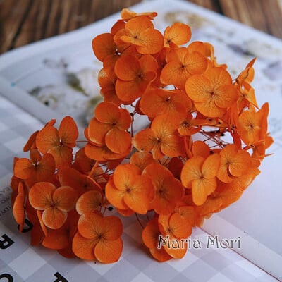 Πολύχρωμη Διακοσμητική Ορτανσία Διακοσμητικό Σπίτι Στολισμός Γάμου Μικρόφυλλο Anna Ορτανσία Εποξειδικό Χειροποίητο Υλικό DIY