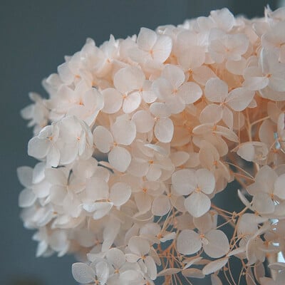 Πολύχρωμη Διακοσμητική Ορτανσία Διακοσμητικό Σπίτι Στολισμός Γάμου Μικρόφυλλο Anna Ορτανσία Εποξειδικό Χειροποίητο Υλικό DIY