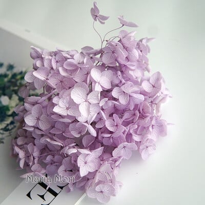 Πολύχρωμη Διακοσμητική Ορτανσία Διακοσμητικό Σπίτι Στολισμός Γάμου Μικρόφυλλο Anna Ορτανσία Εποξειδικό Χειροποίητο Υλικό DIY