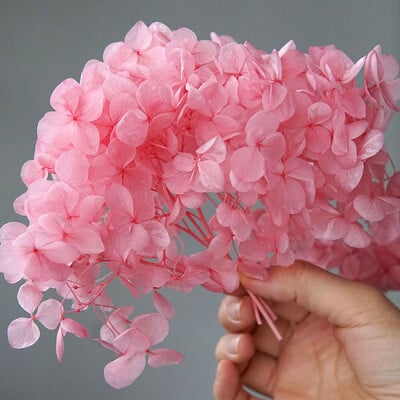 Πολύχρωμη Διακοσμητική Ορτανσία Διακοσμητικό Σπίτι Στολισμός Γάμου Μικρόφυλλο Anna Ορτανσία Εποξειδικό Χειροποίητο Υλικό DIY