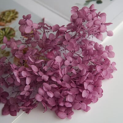 Πολύχρωμη Διακοσμητική Ορτανσία Διακοσμητικό Σπίτι Στολισμός Γάμου Μικρόφυλλο Anna Ορτανσία Εποξειδικό Χειροποίητο Υλικό DIY