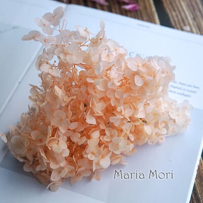 Πολύχρωμη Διακοσμητική Ορτανσία Διακοσμητικό Σπίτι Στολισμός Γάμου Μικρόφυλλο Anna Ορτανσία Εποξειδικό Χειροποίητο Υλικό DIY