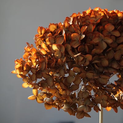 Πολύχρωμη Διακοσμητική Ορτανσία Διακοσμητικό Σπίτι Στολισμός Γάμου Μικρόφυλλο Anna Ορτανσία Εποξειδικό Χειροποίητο Υλικό DIY