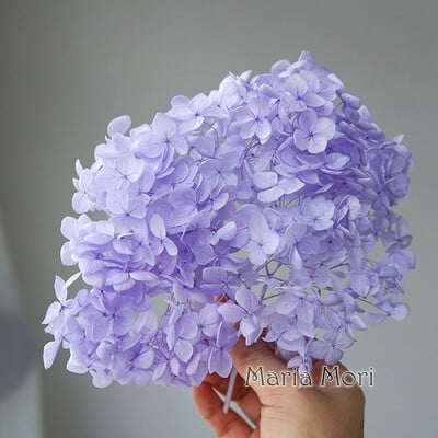 Πολύχρωμη Διακοσμητική Ορτανσία Διακοσμητικό Σπίτι Στολισμός Γάμου Μικρόφυλλο Anna Ορτανσία Εποξειδικό Χειροποίητο Υλικό DIY