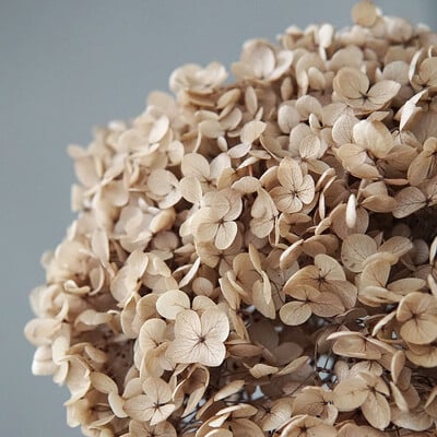 Πολύχρωμη Διακοσμητική Ορτανσία Διακοσμητικό Σπίτι Στολισμός Γάμου Μικρόφυλλο Anna Ορτανσία Εποξειδικό Χειροποίητο Υλικό DIY