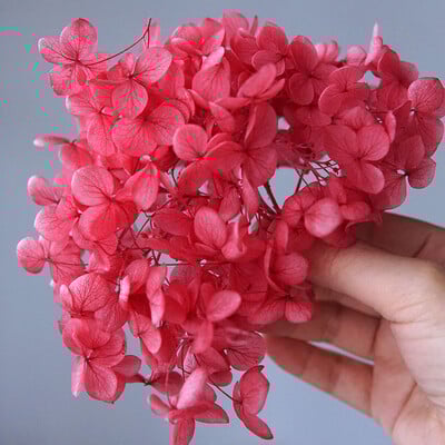 Πολύχρωμη Διακοσμητική Ορτανσία Διακοσμητικό Σπίτι Στολισμός Γάμου Μικρόφυλλο Anna Ορτανσία Εποξειδικό Χειροποίητο Υλικό DIY