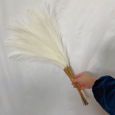 55 εκ. 10 ΤΕΜ. Χνουδωτά Pampas Grass Boho Decor Flower Fake Plant Reed Simulated Wedding Party Διακόσμηση σπιτιού Τεχνητά λουλούδια
