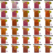 3D reljefiniai aplankai, tokie kaip kriauklės, snaigės, mini botanikos sodai, lapai, rožės, bijūnai, žali lapai, graži tėkmė