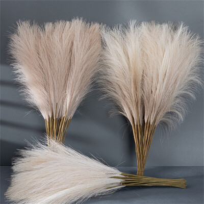 55CM 10Vnt Pūkuotas Pampas Grass Boho dekoro gėlė netikras augalas nendrių imituotas vestuvių vakarėlis namų dekoravimas dirbtinės gėlės NAUJIENA