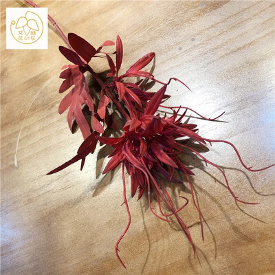 Simulacija Stabljika Plamen Epiphyllum Plastična Zmajeva brada Lažni cvijet Dnevni boravak Blagovaonica Vjenčanje Umjetno cvijeće Uređenje doma