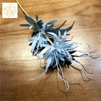 Simulacija Stabljika Plamen Epiphyllum Plastična Zmajeva brada Lažni cvijet Dnevni boravak Blagovaonica Vjenčanje Umjetno cvijeće Uređenje doma