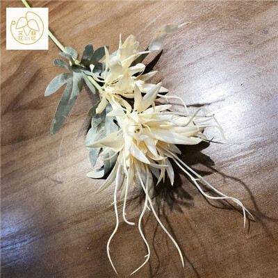 Simulacija Stabljika Plamen Epiphyllum Plastična Zmajeva brada Lažni cvijet Dnevni boravak Blagovaonica Vjenčanje Umjetno cvijeće Uređenje doma